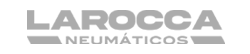 logoGRIS4